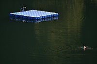 Bernhard Saalfeld - Der Schwimmer